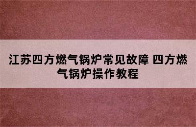 江苏四方燃气锅炉常见故障 四方燃气锅炉操作教程